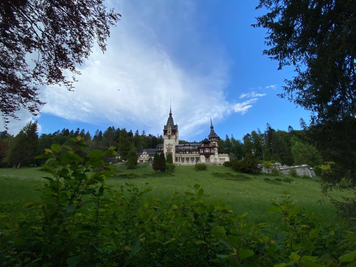 Vila De Argint Aleea Pelesului Nr 2 Sinaia Exteriér fotografie