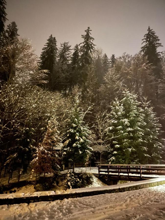 Vila De Argint Aleea Pelesului Nr 2 Sinaia Exteriér fotografie