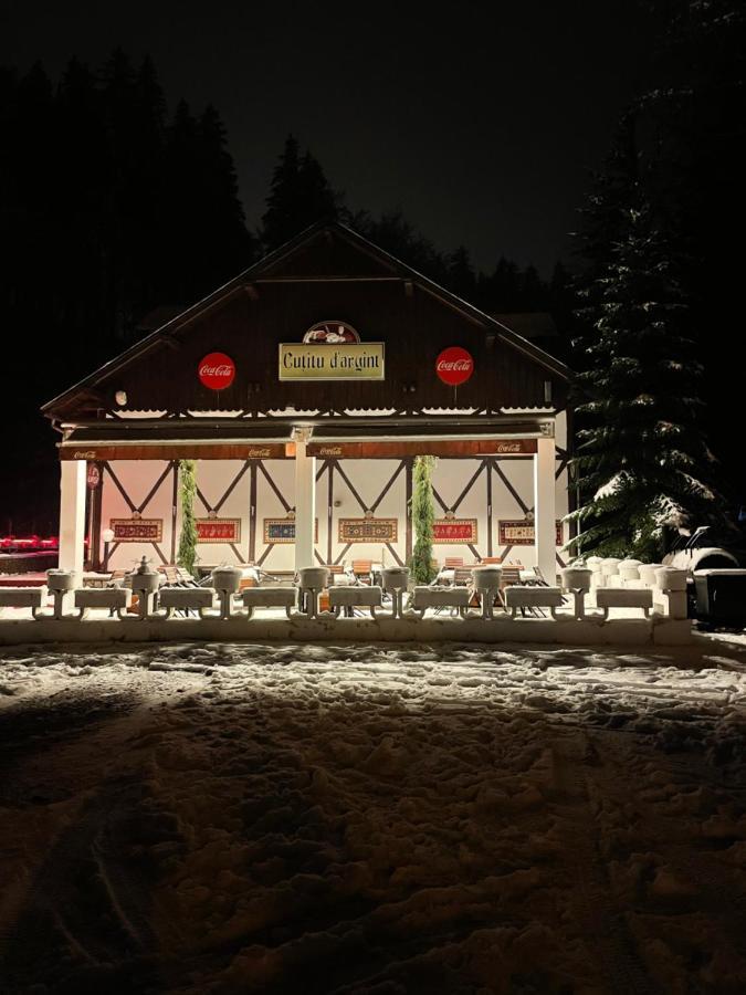 Vila De Argint Aleea Pelesului Nr 2 Sinaia Exteriér fotografie