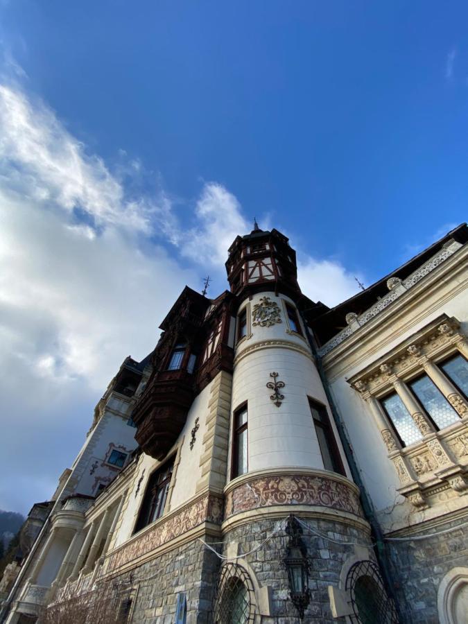 Vila De Argint Aleea Pelesului Nr 2 Sinaia Exteriér fotografie
