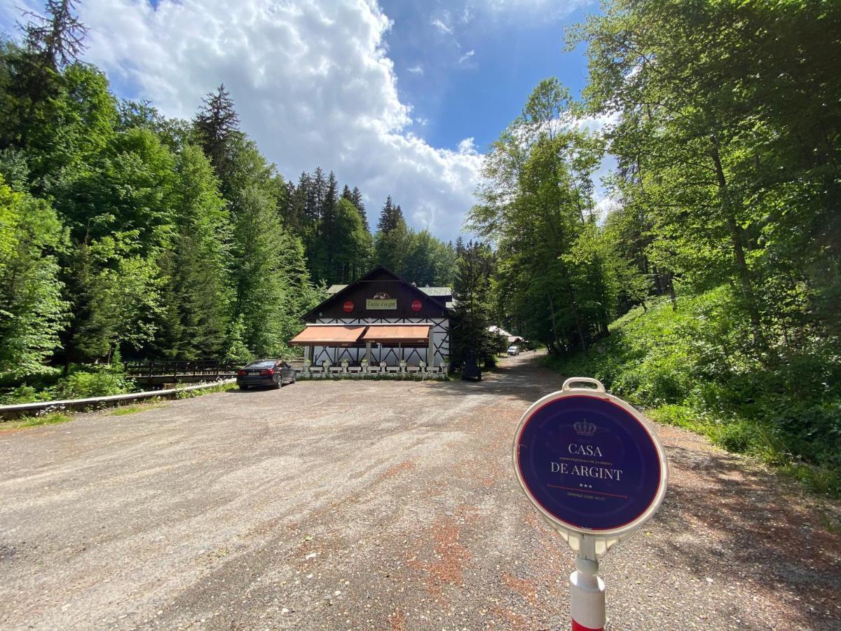 Vila De Argint Aleea Pelesului Nr 2 Sinaia Exteriér fotografie