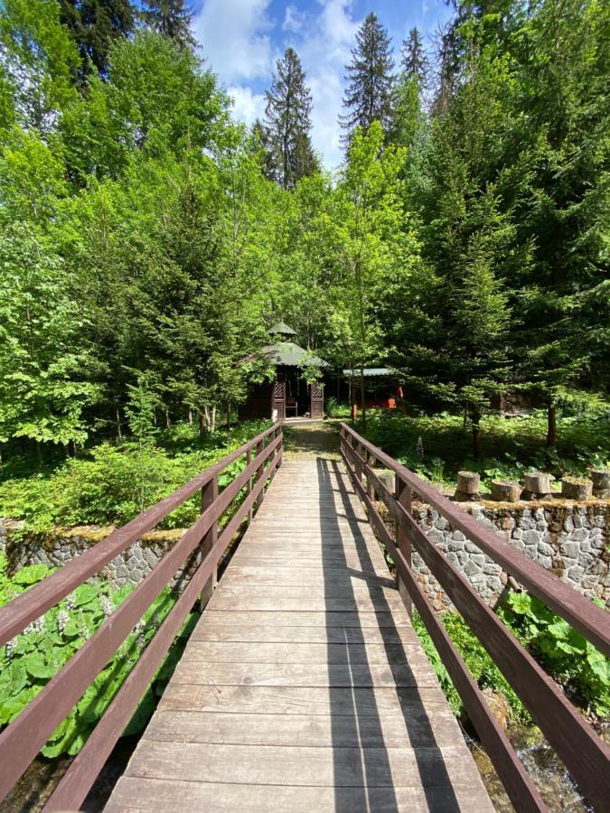 Vila De Argint Aleea Pelesului Nr 2 Sinaia Exteriér fotografie