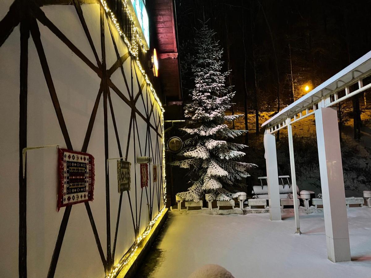 Vila De Argint Aleea Pelesului Nr 2 Sinaia Exteriér fotografie