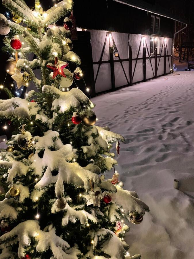 Vila De Argint Aleea Pelesului Nr 2 Sinaia Exteriér fotografie