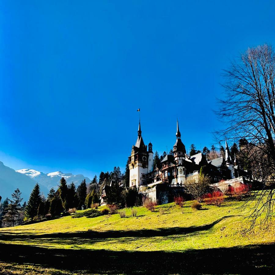 Vila De Argint Aleea Pelesului Nr 2 Sinaia Exteriér fotografie